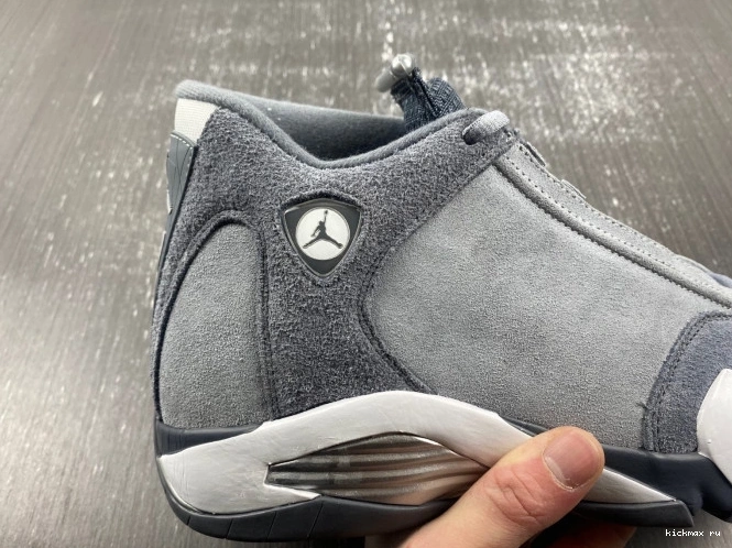 Rep MAX Jordan Grey Air 14 FJ3460-012 Flint 0812